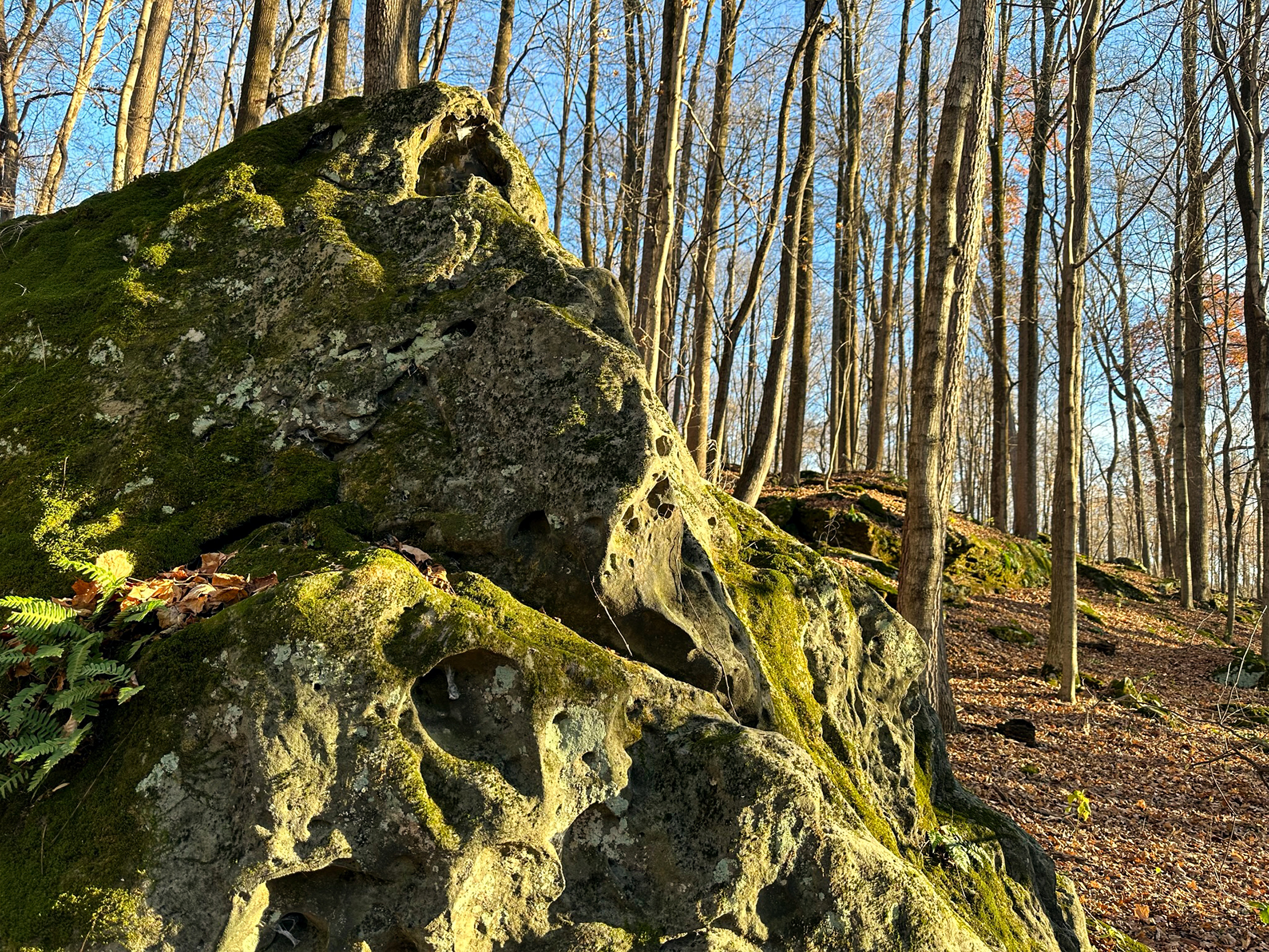 Boulder Ridge
