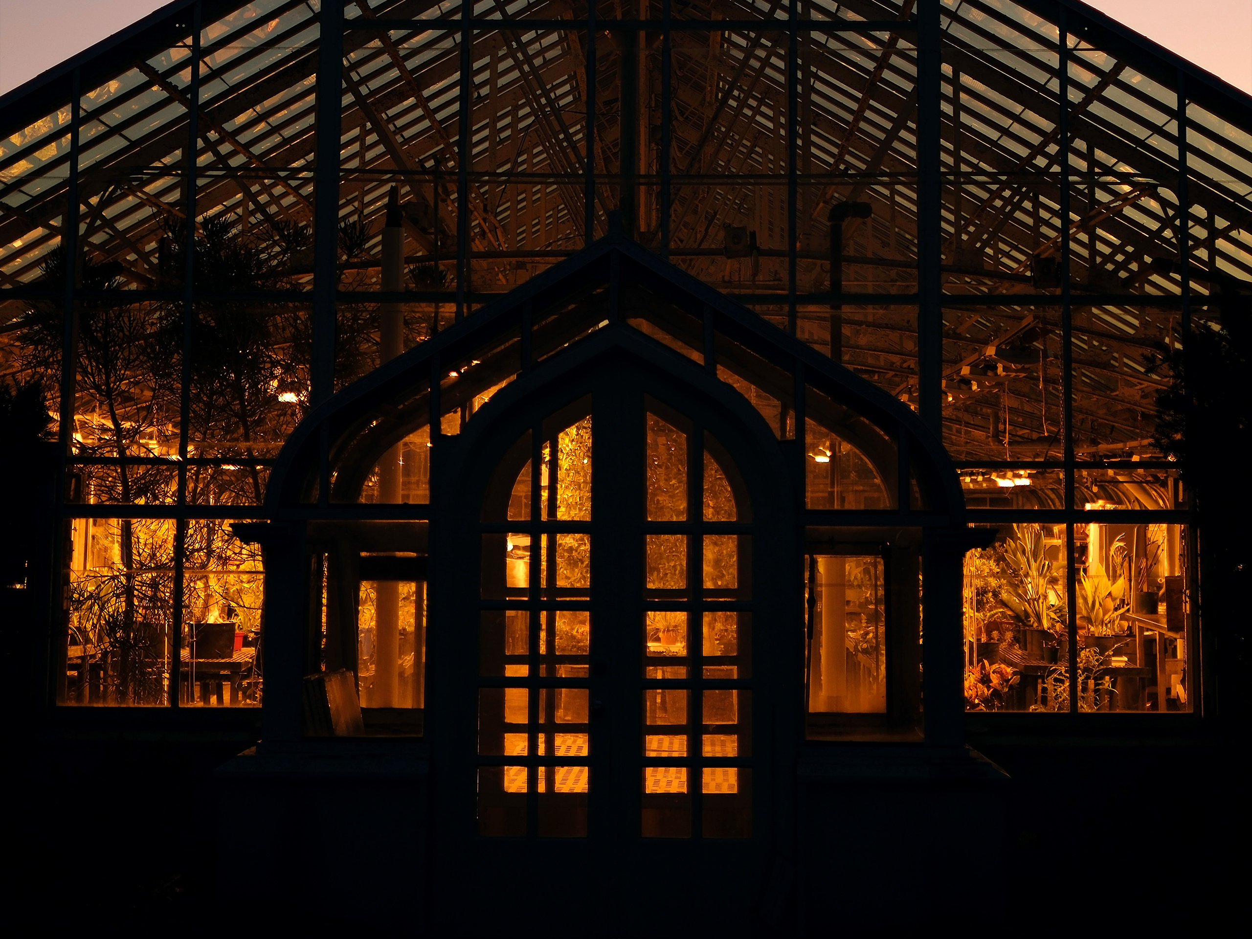 A glowing greenhouse at dusk