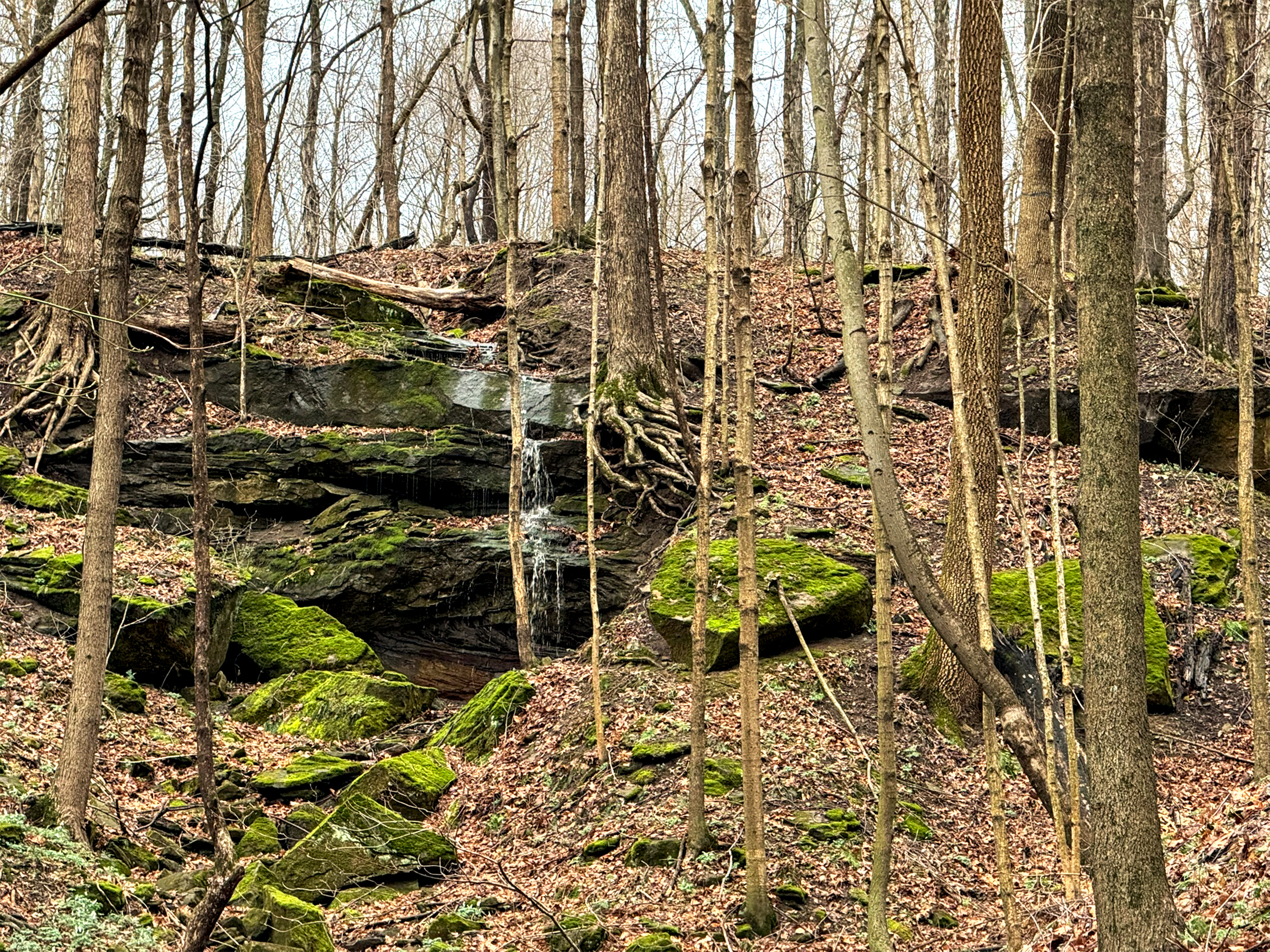 Minor Falls
